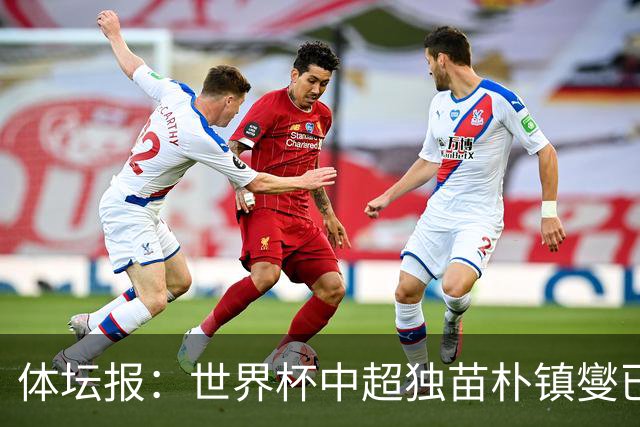 体坛报：世界杯中超独苗朴镇燮已回浙江队，增强球队中后场硬度
