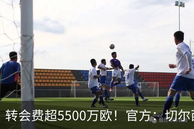 转会费超5500万欧！官方：切尔西签下21岁帕莱斯特拉，签约7年